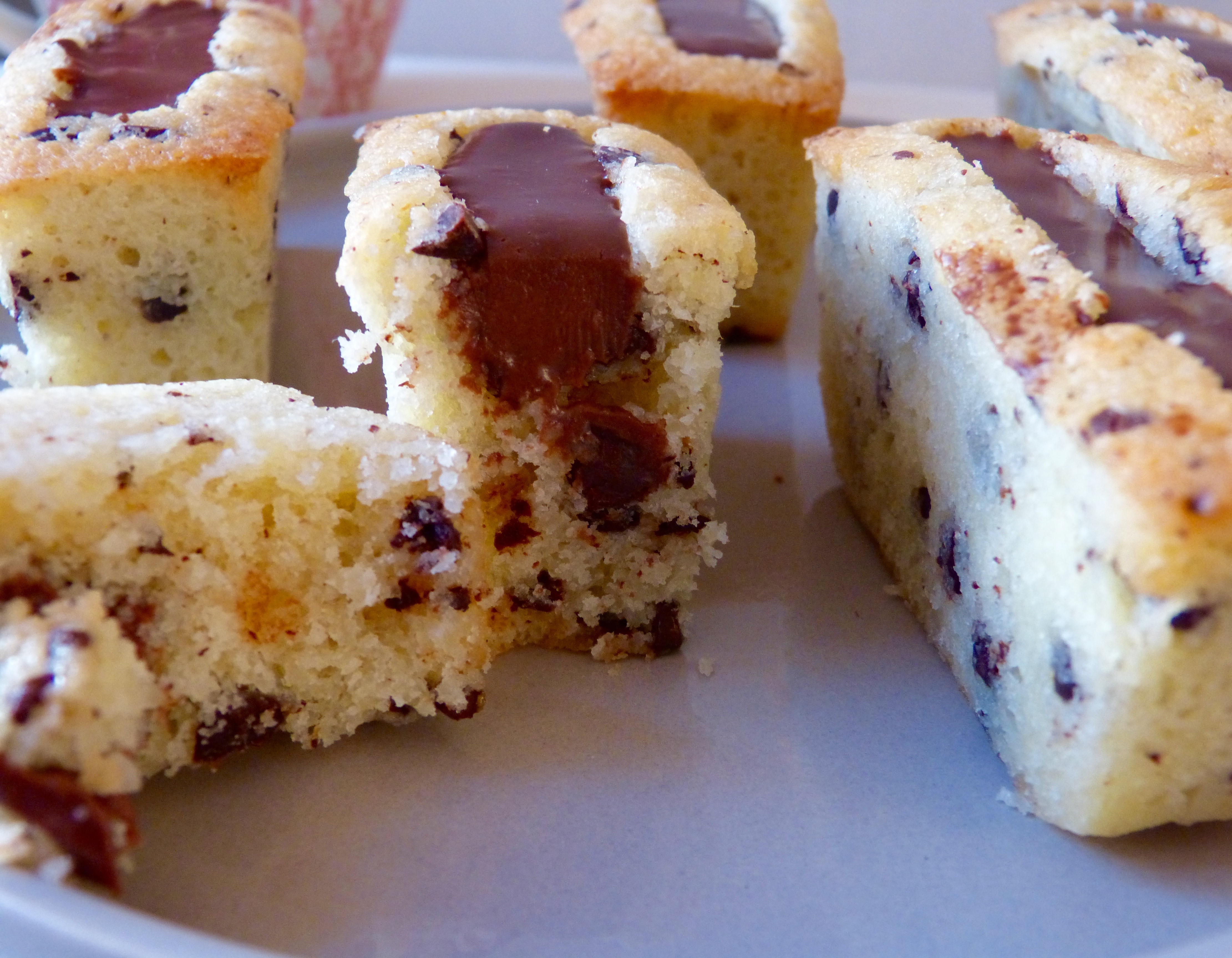 finanicers_au_chocolat_tigrés