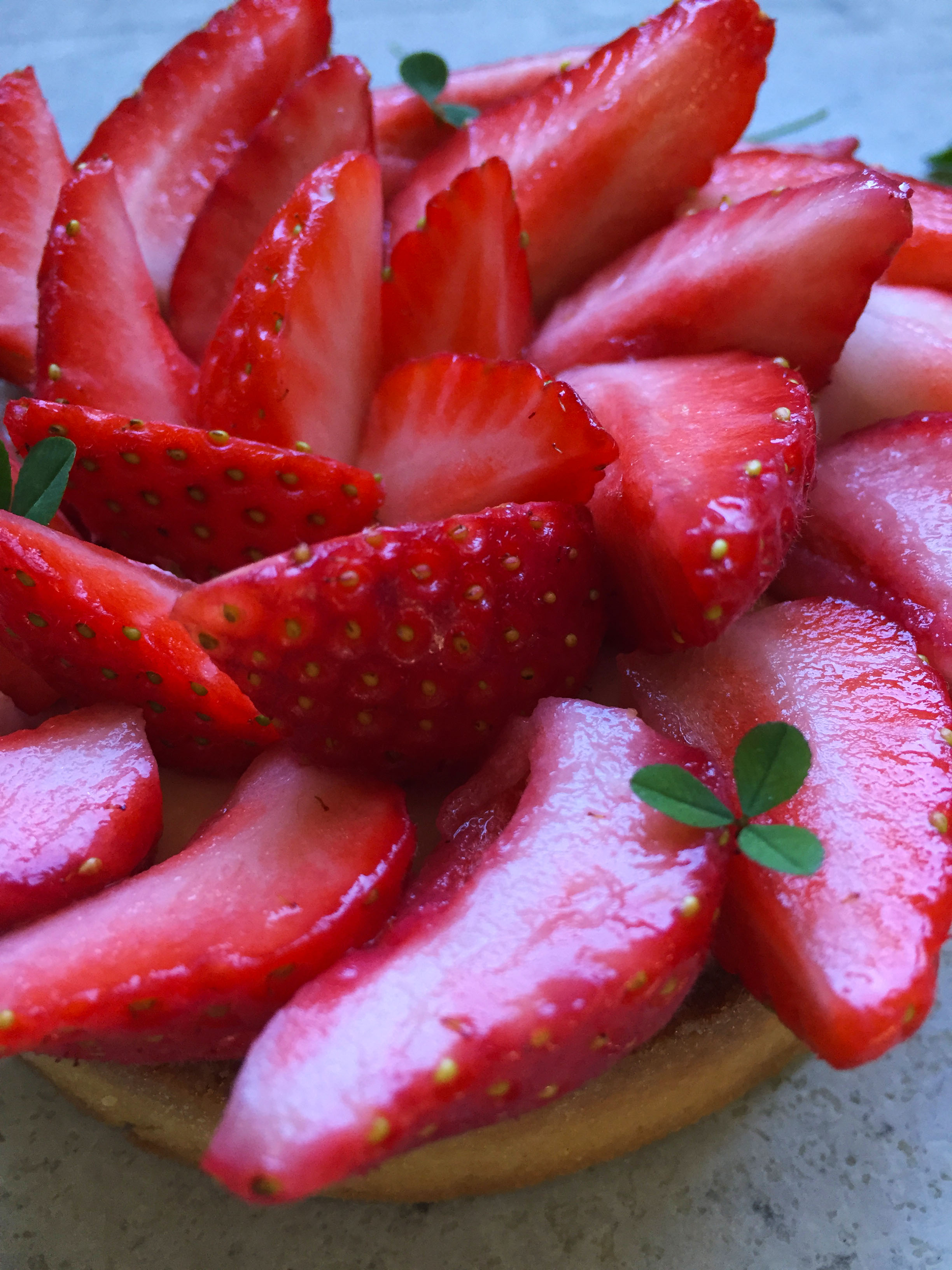 Tarte_fraises_rhubarbe1