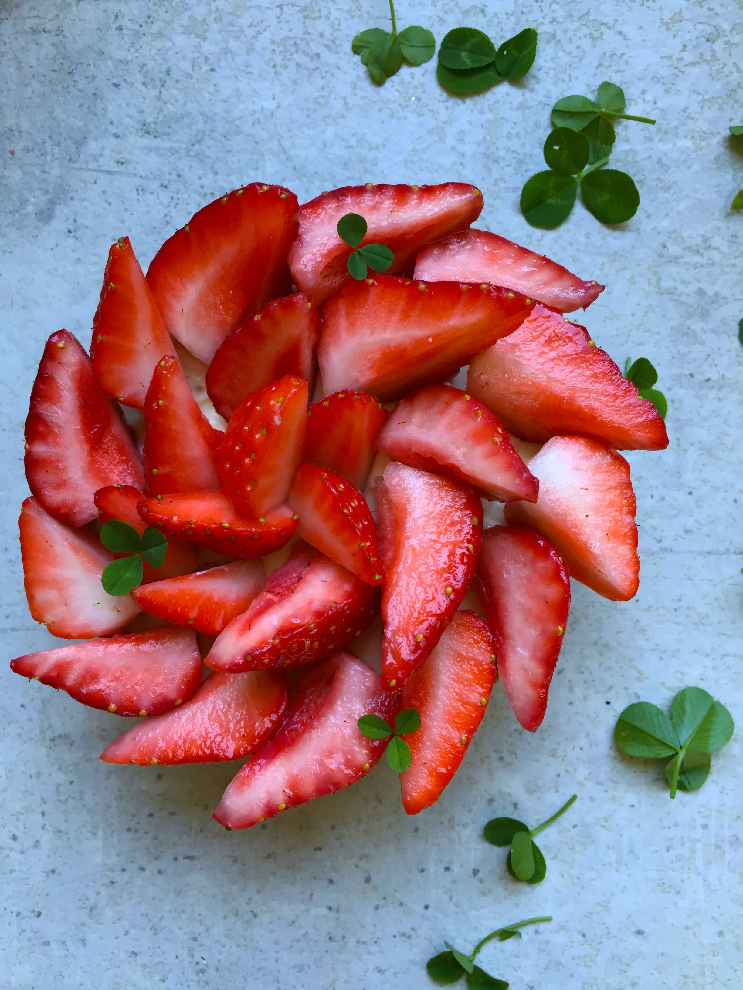 tarte_fraises_rhubarbe2