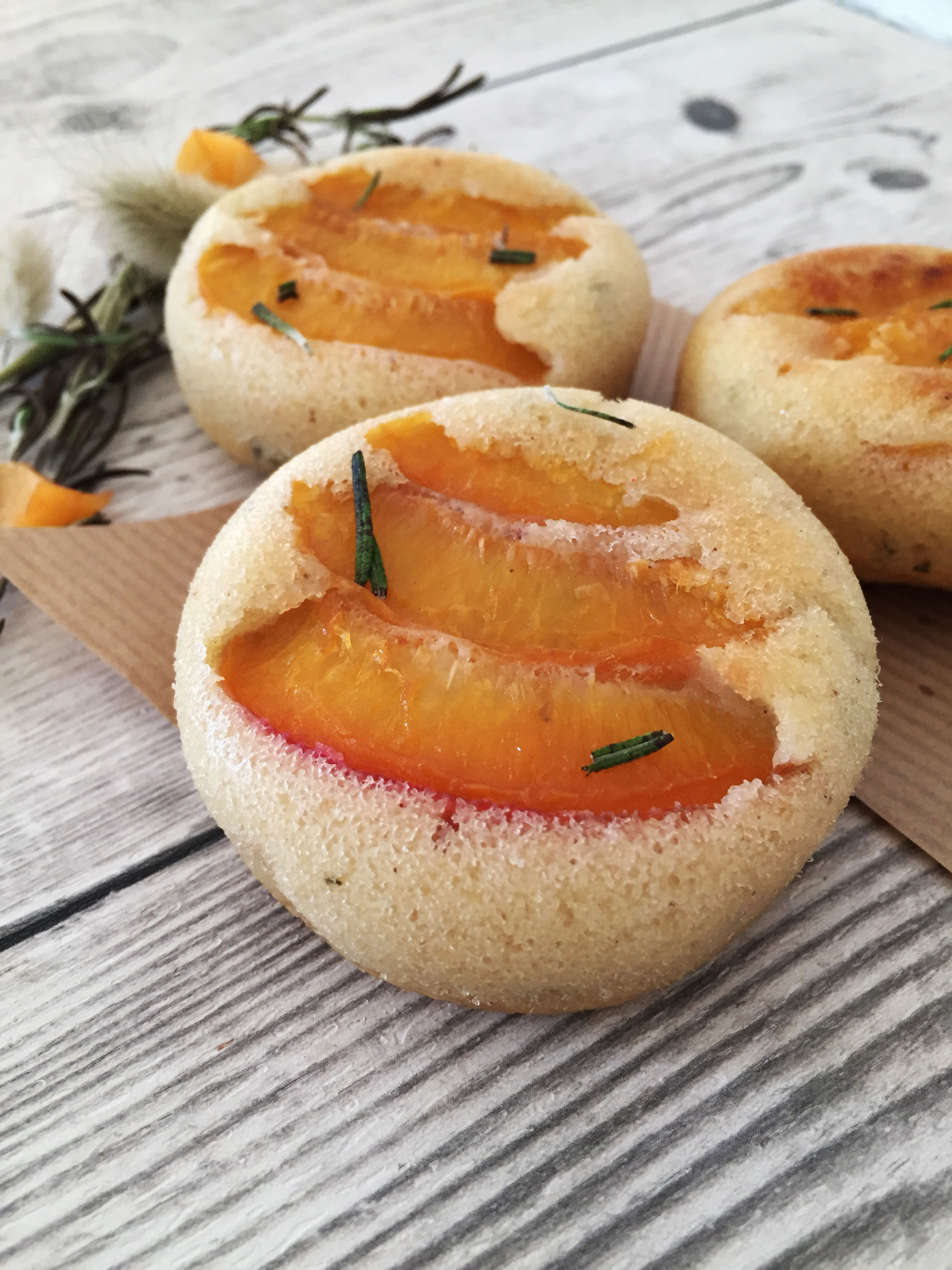 financierabricotromarin